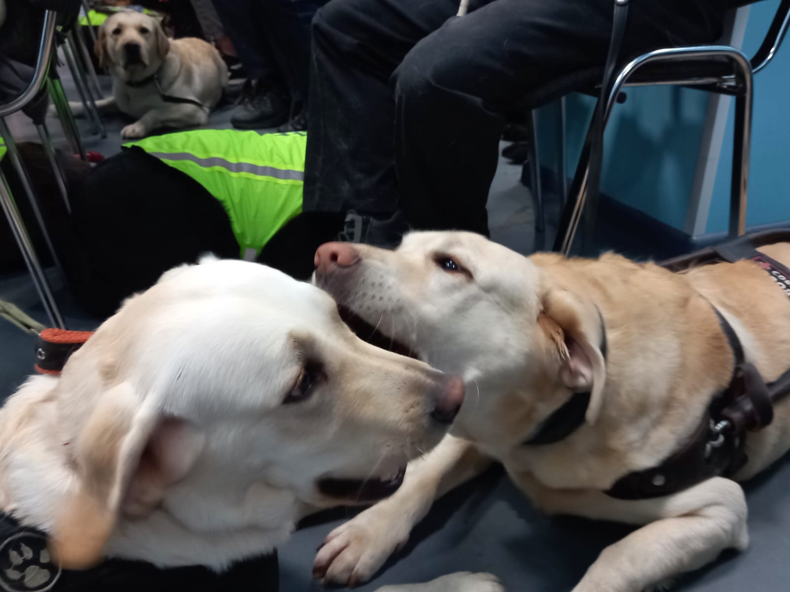 /
