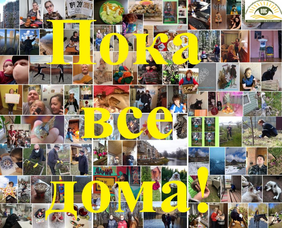 Завершен прием заявок на конкурс фоторабот «Пока все дома» Завершен прием заявок на конкурс фоторабот «Пока все дома»