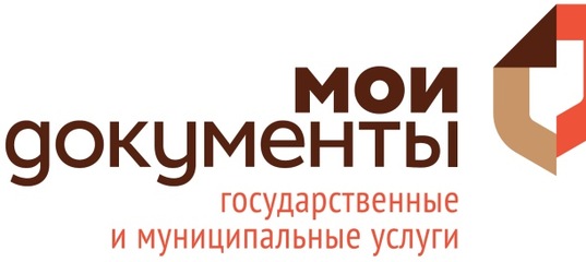 Выездной Многофункциональный центр осуществил прием инвалидов по зрению 