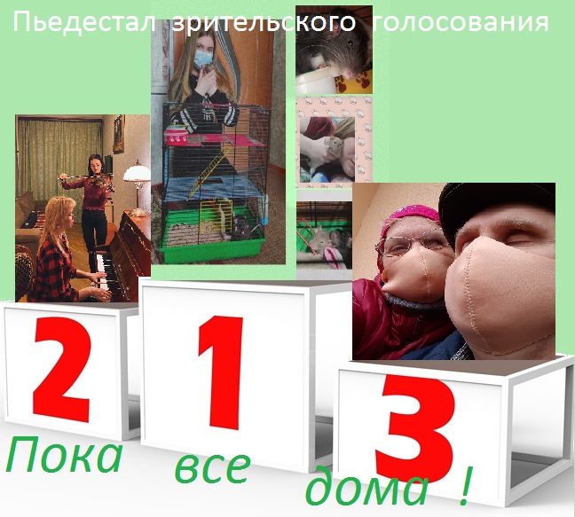Подведены итоги конкурса «Пока все дома»! 